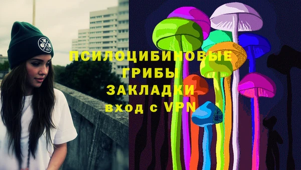 ешки Алексеевка