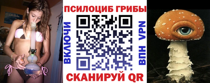 мега как зайти Ливны Псилоцибиновые грибы мицелий